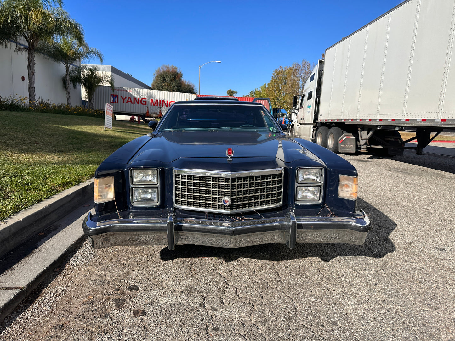 FORD RANCHERO 500 1980