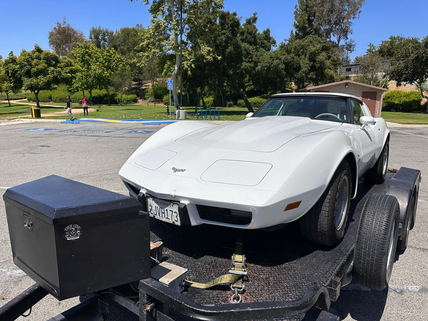 CHEVROLET CORVETTE C3 1979