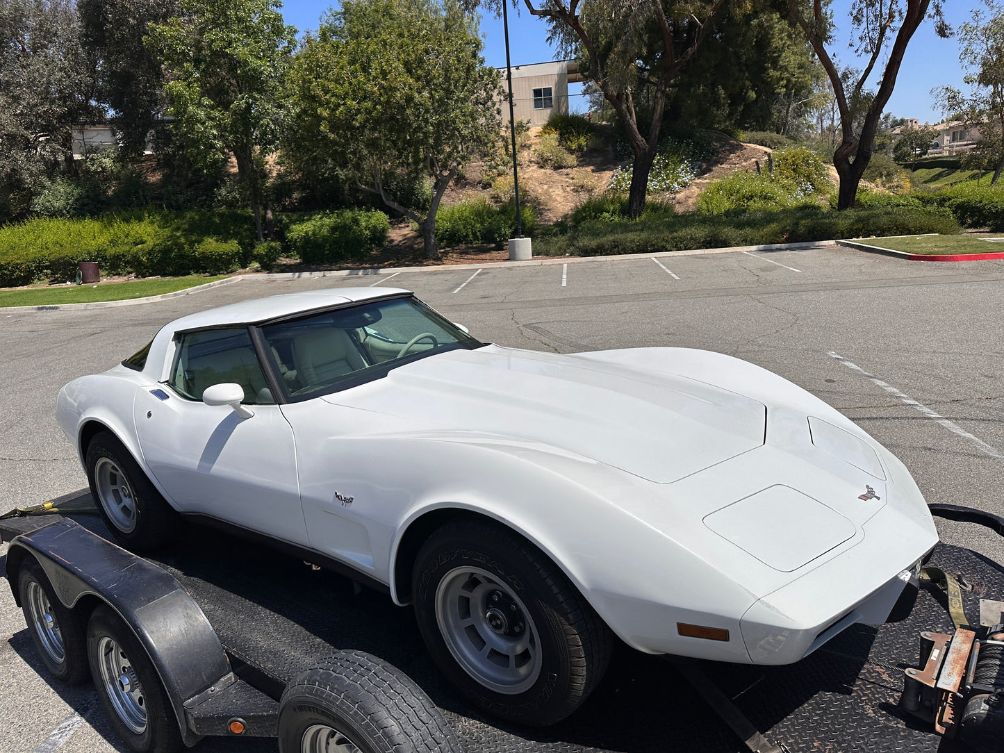 CHEVROLET CORVETTE C3 1979