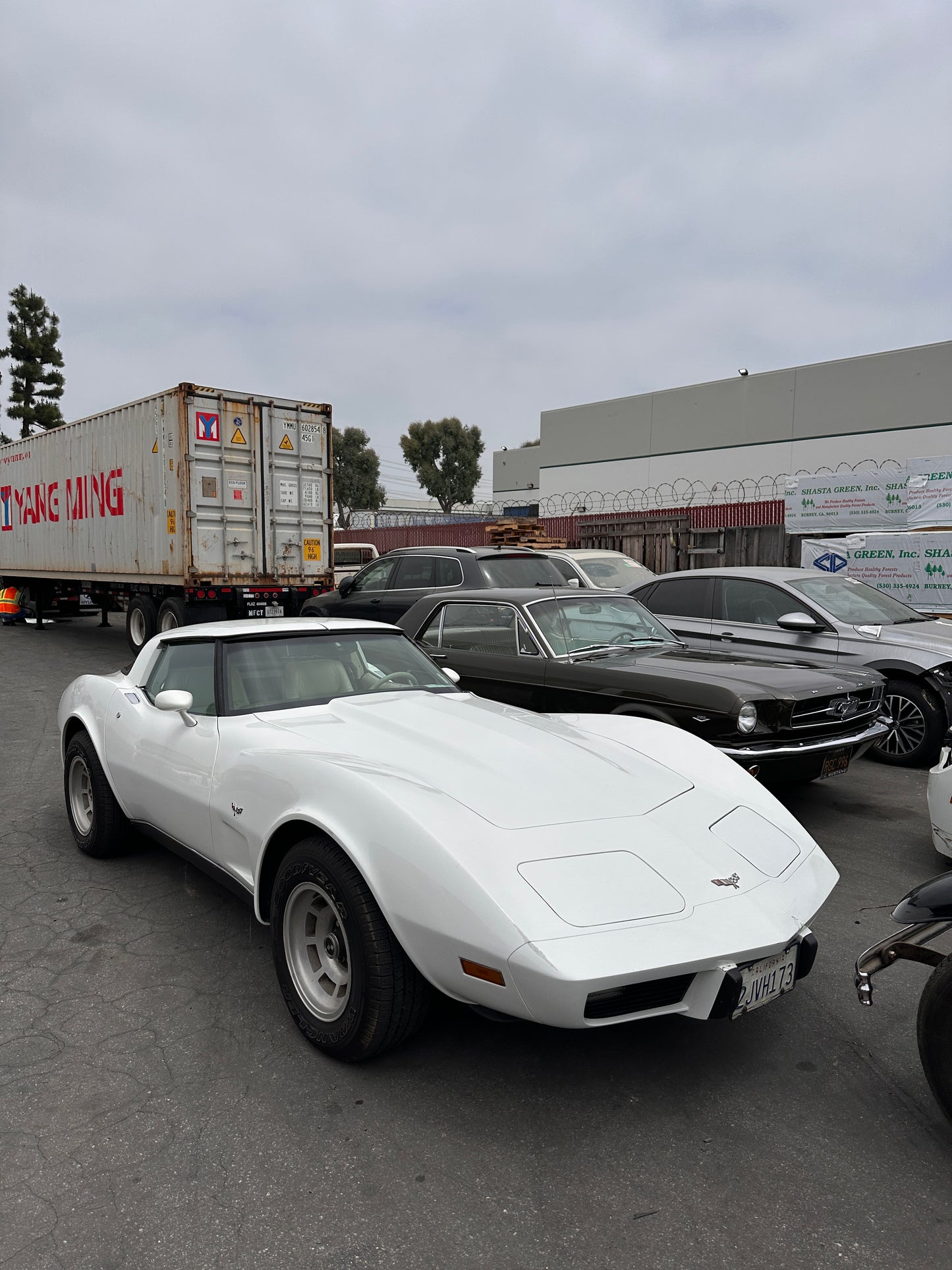 CHEVROLET CORVETTE C3 1979